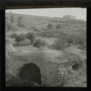 Böhl glass slide 62./2056